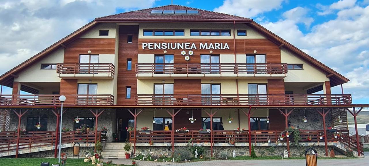 Pensiunea Maria Джилэу Экстерьер фото